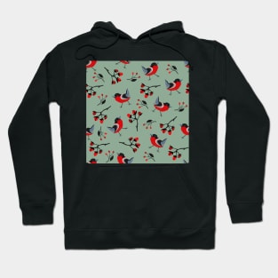 Birds Hoodie